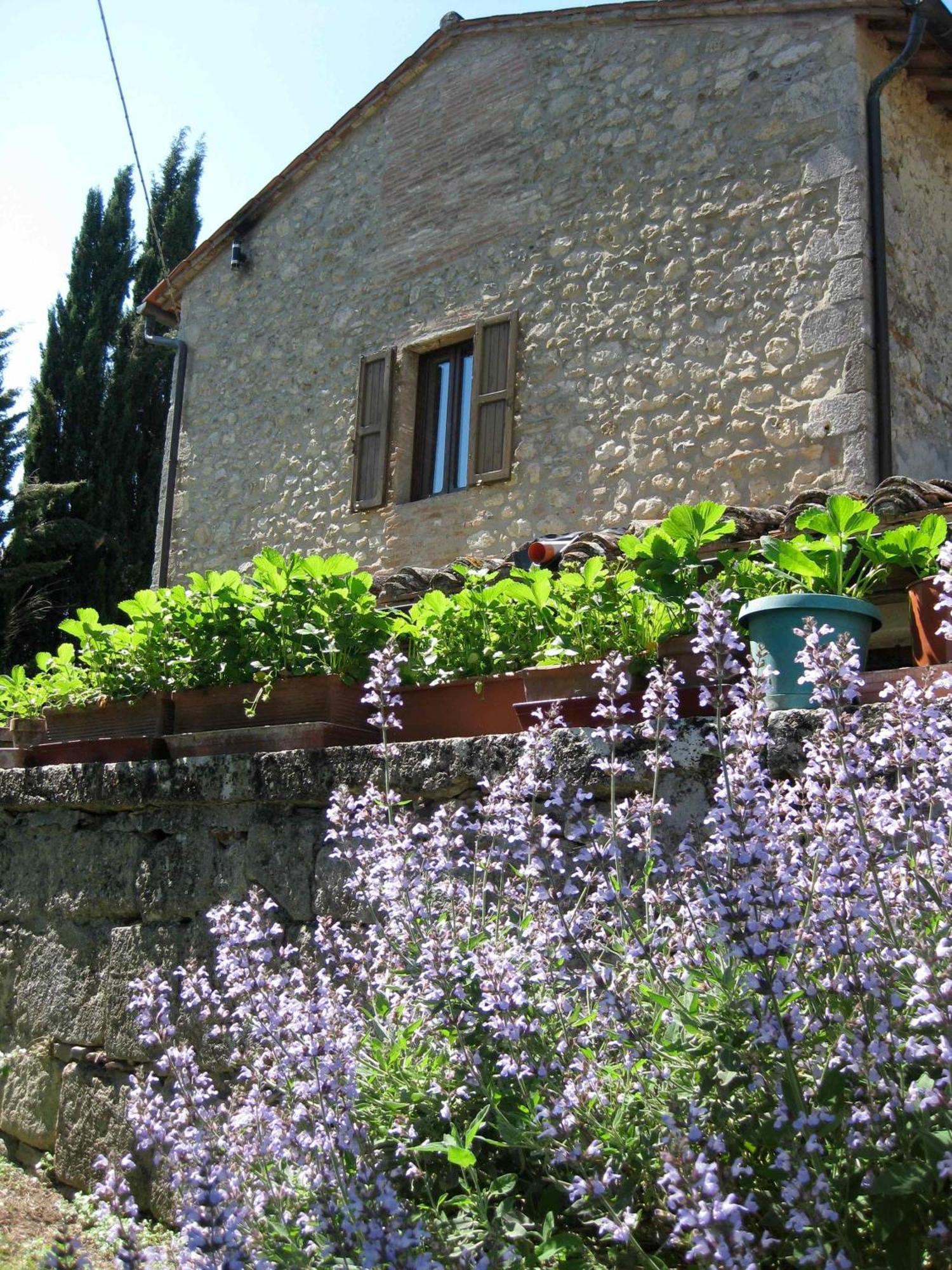 Agriturismo Il Caio Cetona Extérieur photo