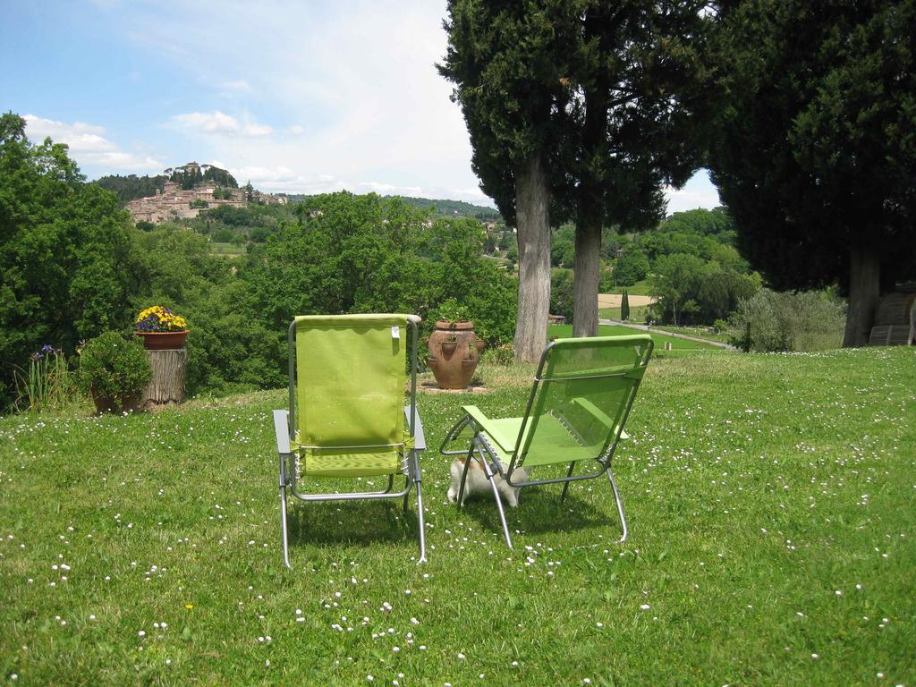 Agriturismo Il Caio Cetona Extérieur photo