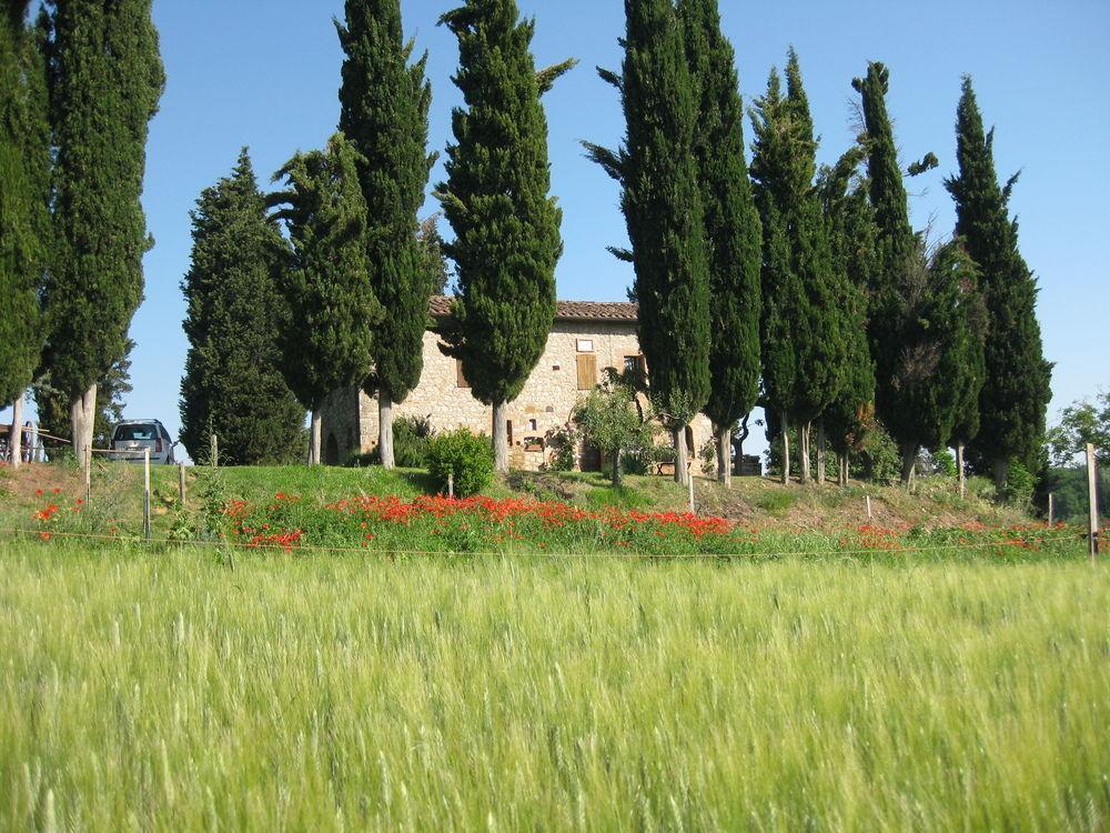 Agriturismo Il Caio Cetona Extérieur photo