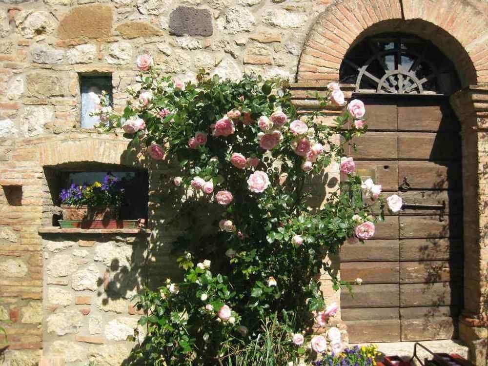 Agriturismo Il Caio Cetona Extérieur photo